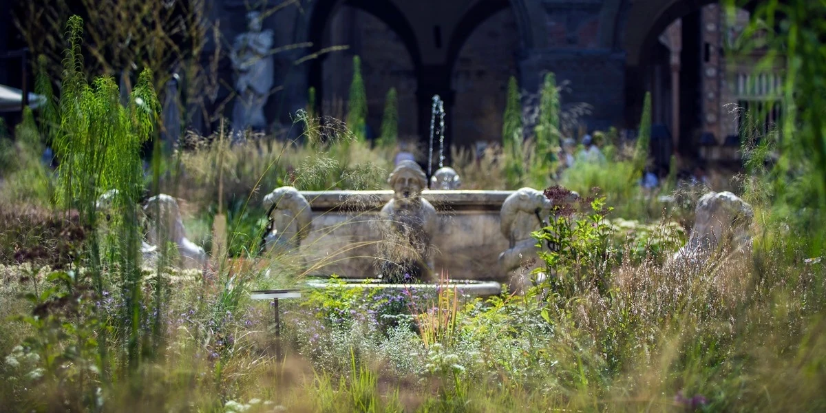 Dzika roślinność wypełniająca historyczny plac Piazza Vecchia w Bergamo podczas Landscape Festival.